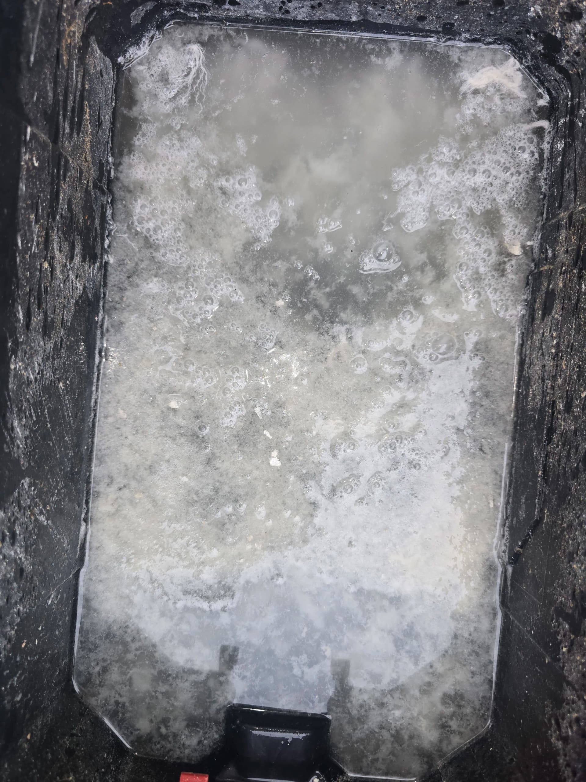 Algae in Your AC Drain Line Is a Bigger Problem Than You Think