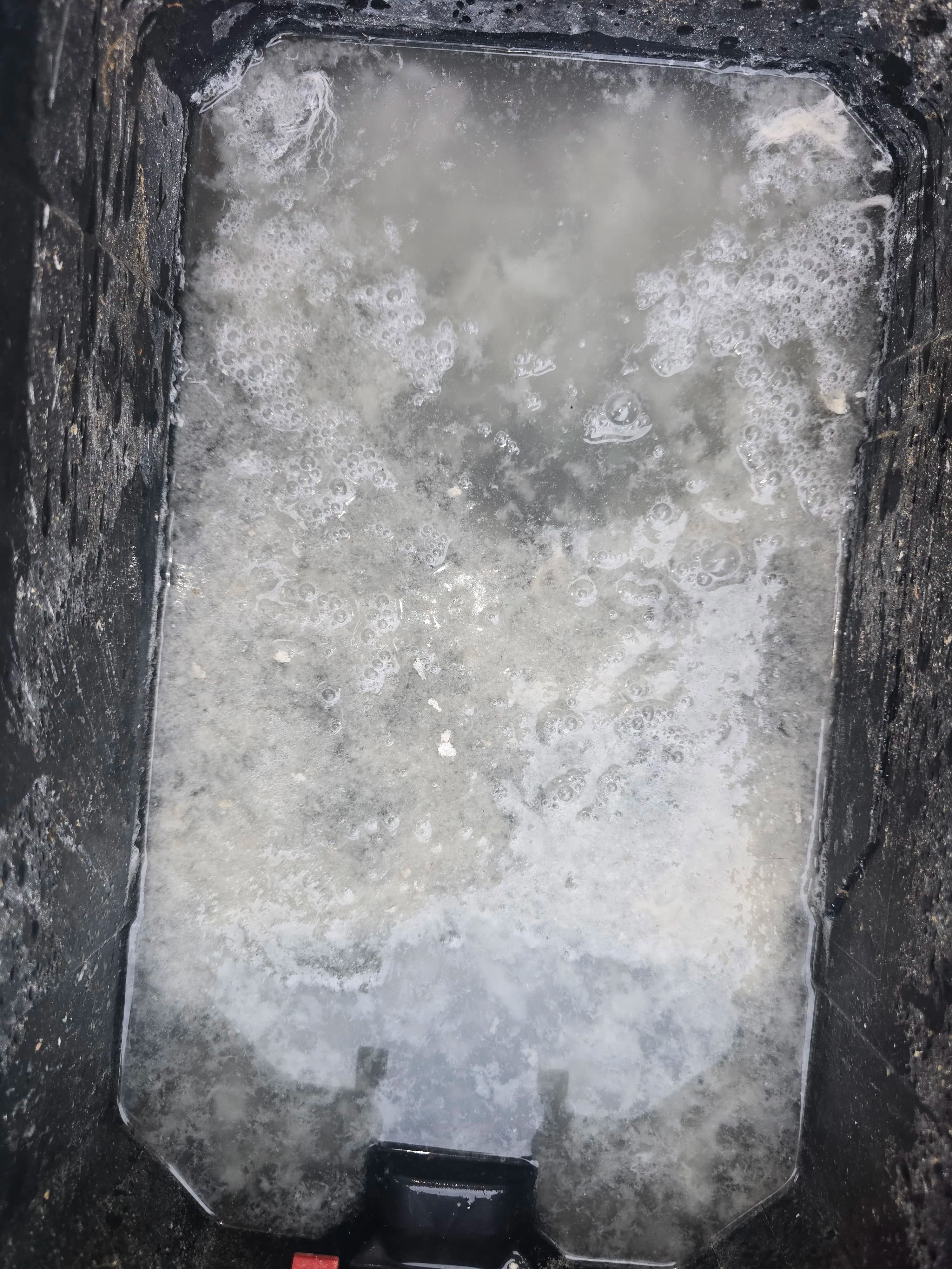 Project Algae in Your AC Drain Line Is a Bigger Problem Than You Think image