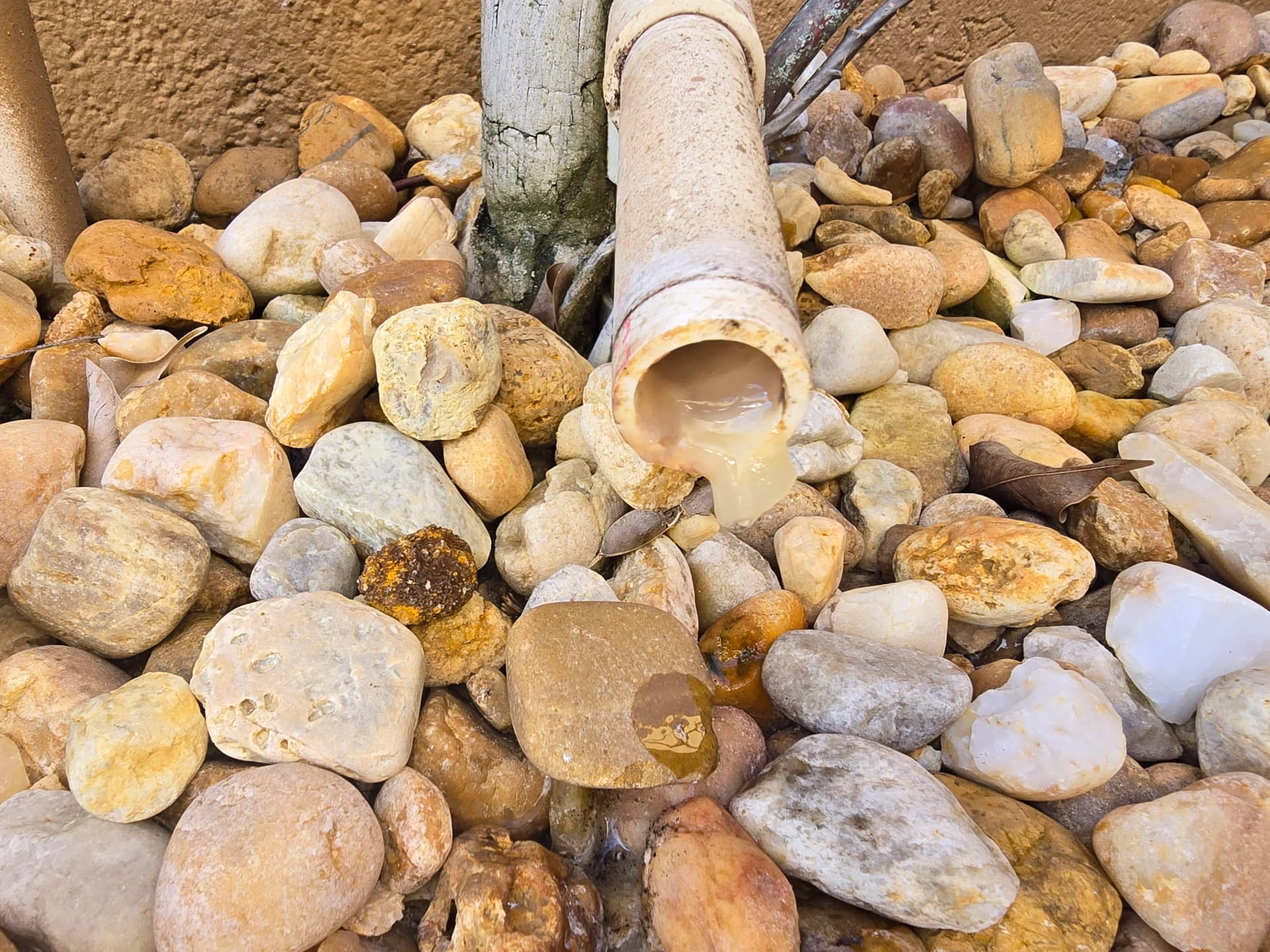 Gallery photos for Clogged AC Condensate Drain Line Cleared and Flowing Again: Image #1
