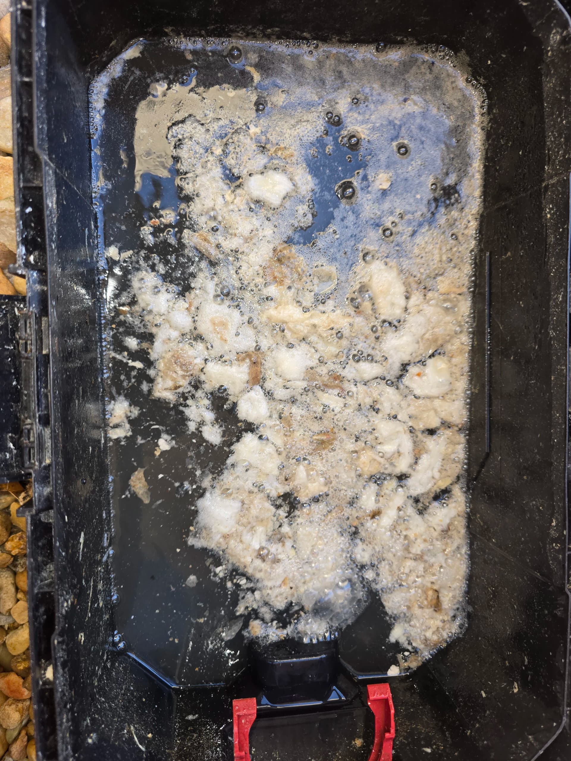 Clogged AC Condensate Drain Line Cleared and Flowing Again image