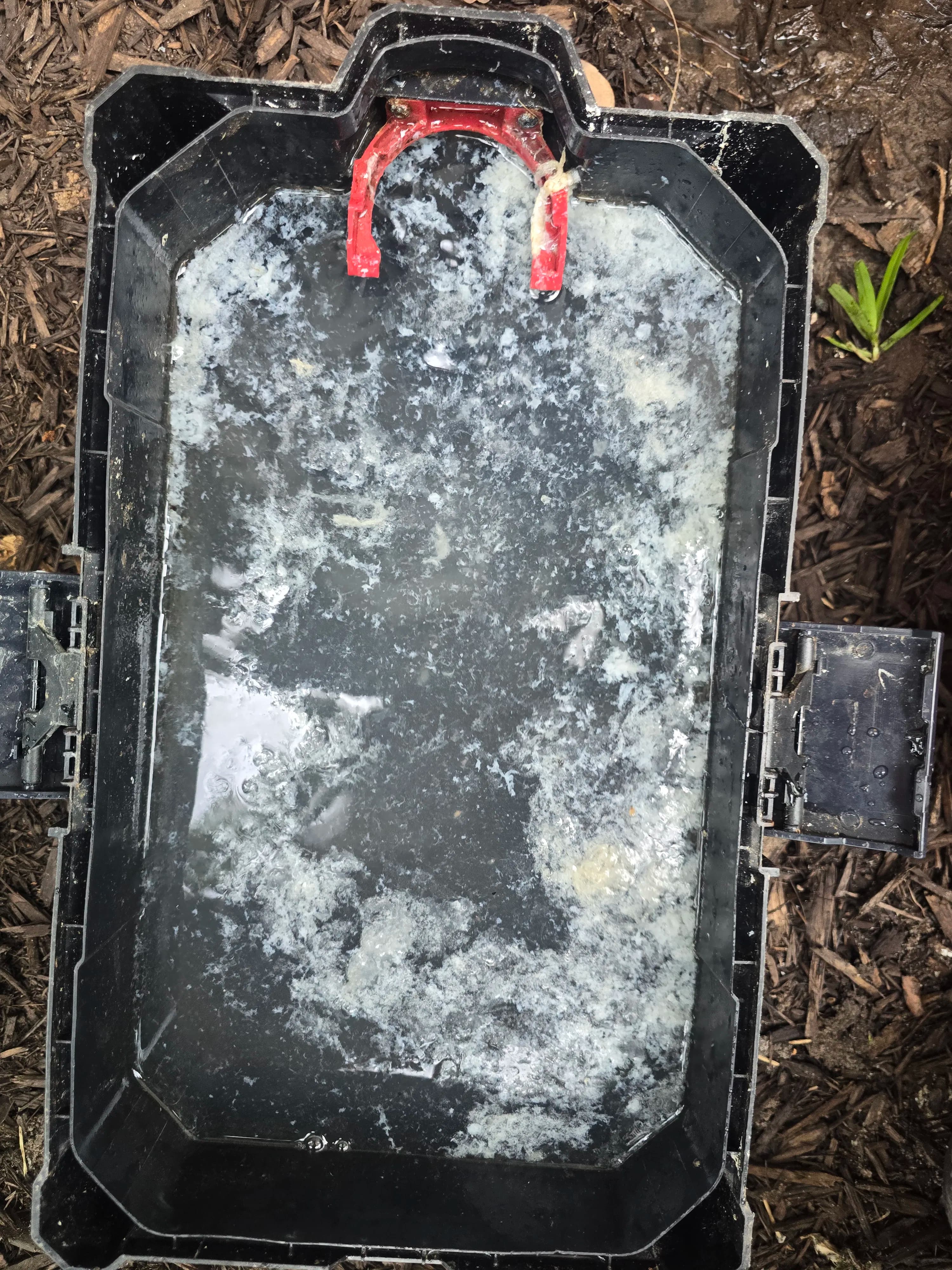 Project AC Drain Line Algae Buildup Is Silently Wrecking Your System image