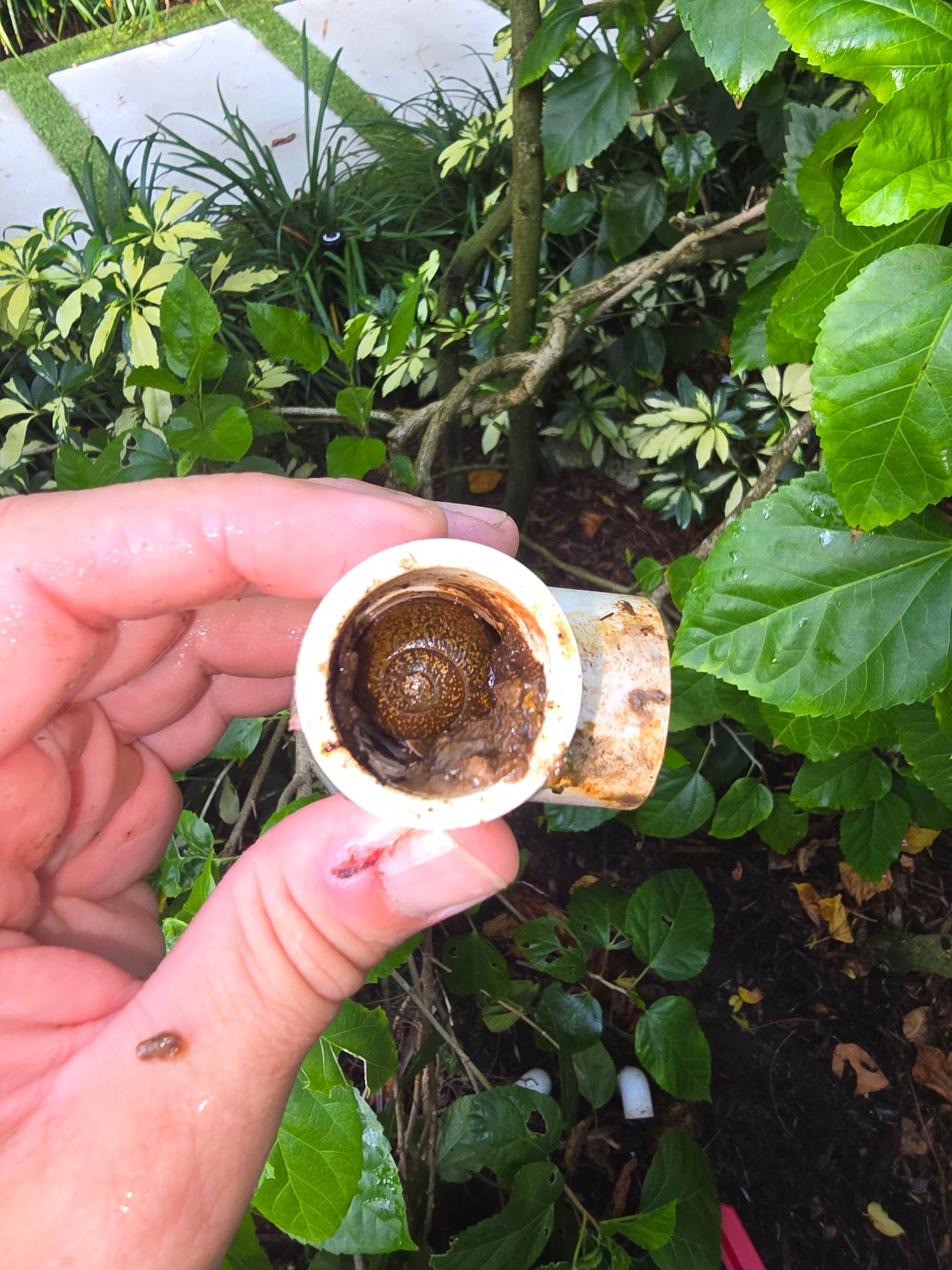 Gallery photos for Your AC Not Cooling? A Clogged Drain Line Might Be Why: Image #1