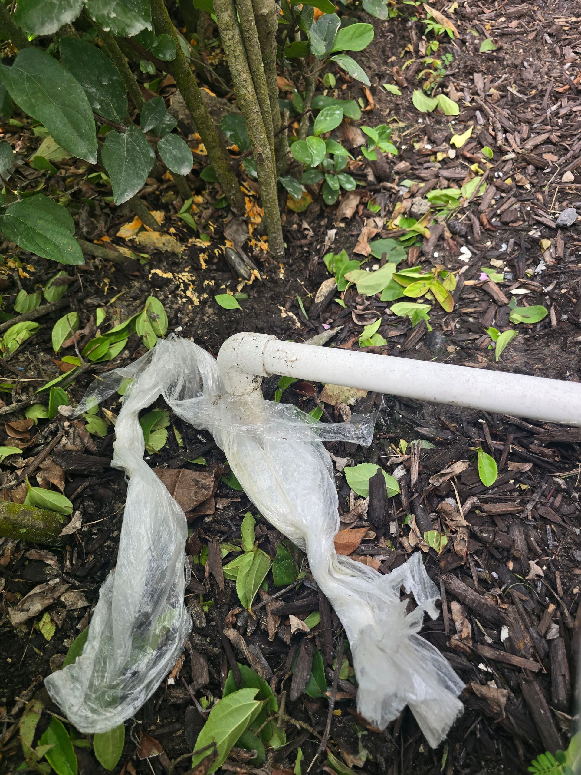 Why Your AC Drain Line Deserves a Quick Look image