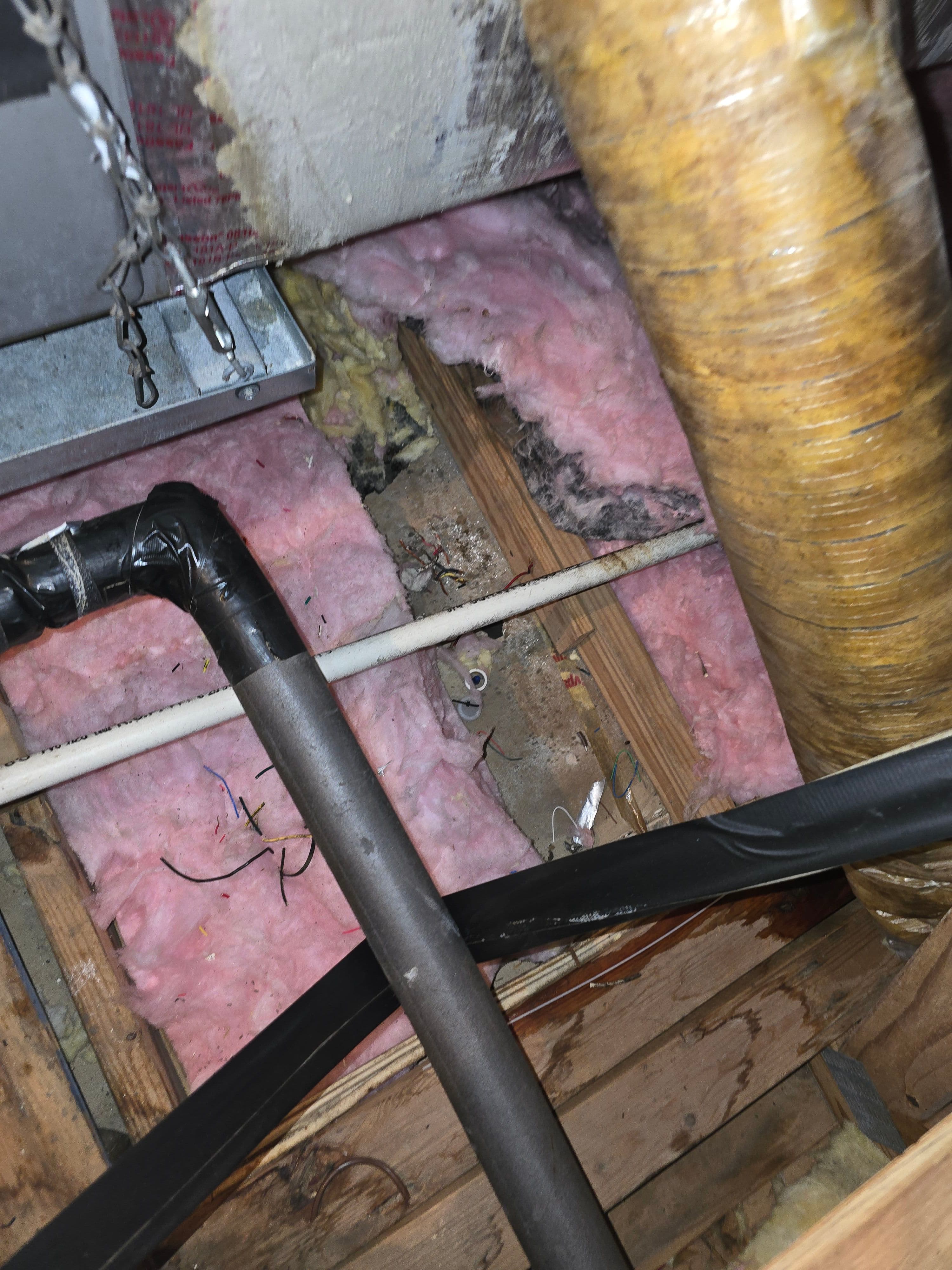 Project Your Attic Might Be Why Your Home Won't Stay Cool image