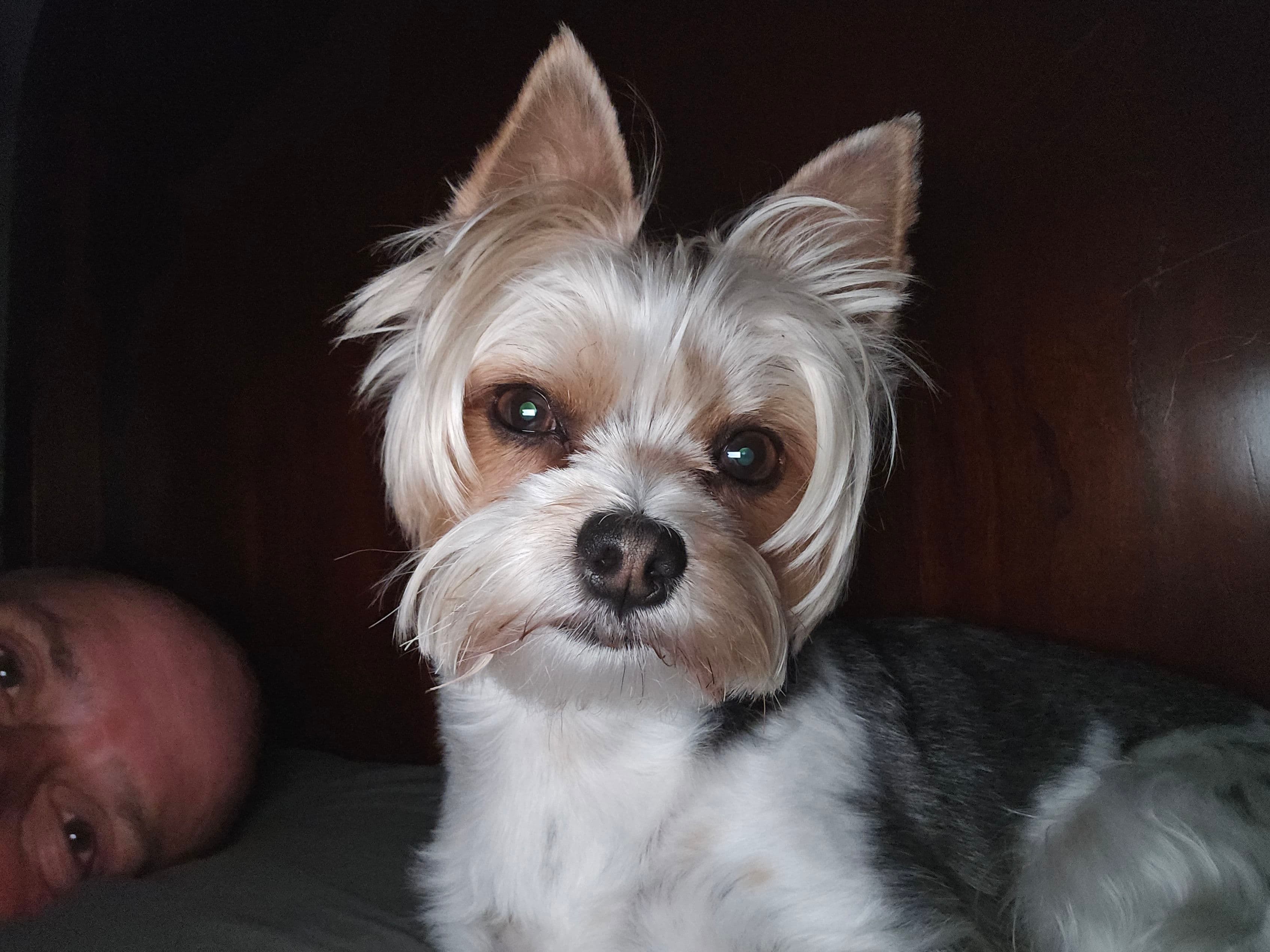 Project Keep Your Cool in Florida - Proactive AC Maintenance with Air Benders image