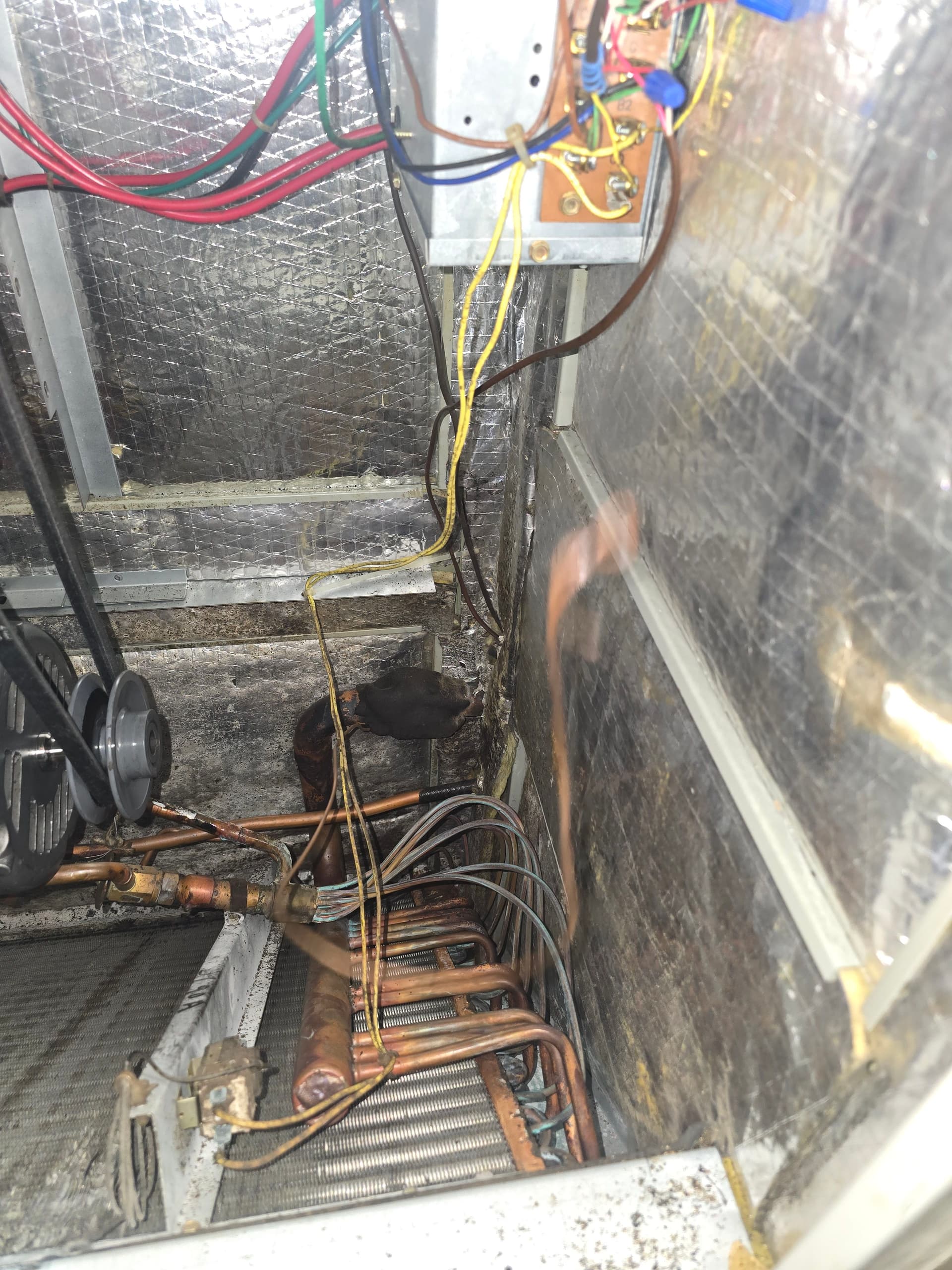 Gallery photos for A Failing TXV Was Killing This AC System's Cooling: Image #1