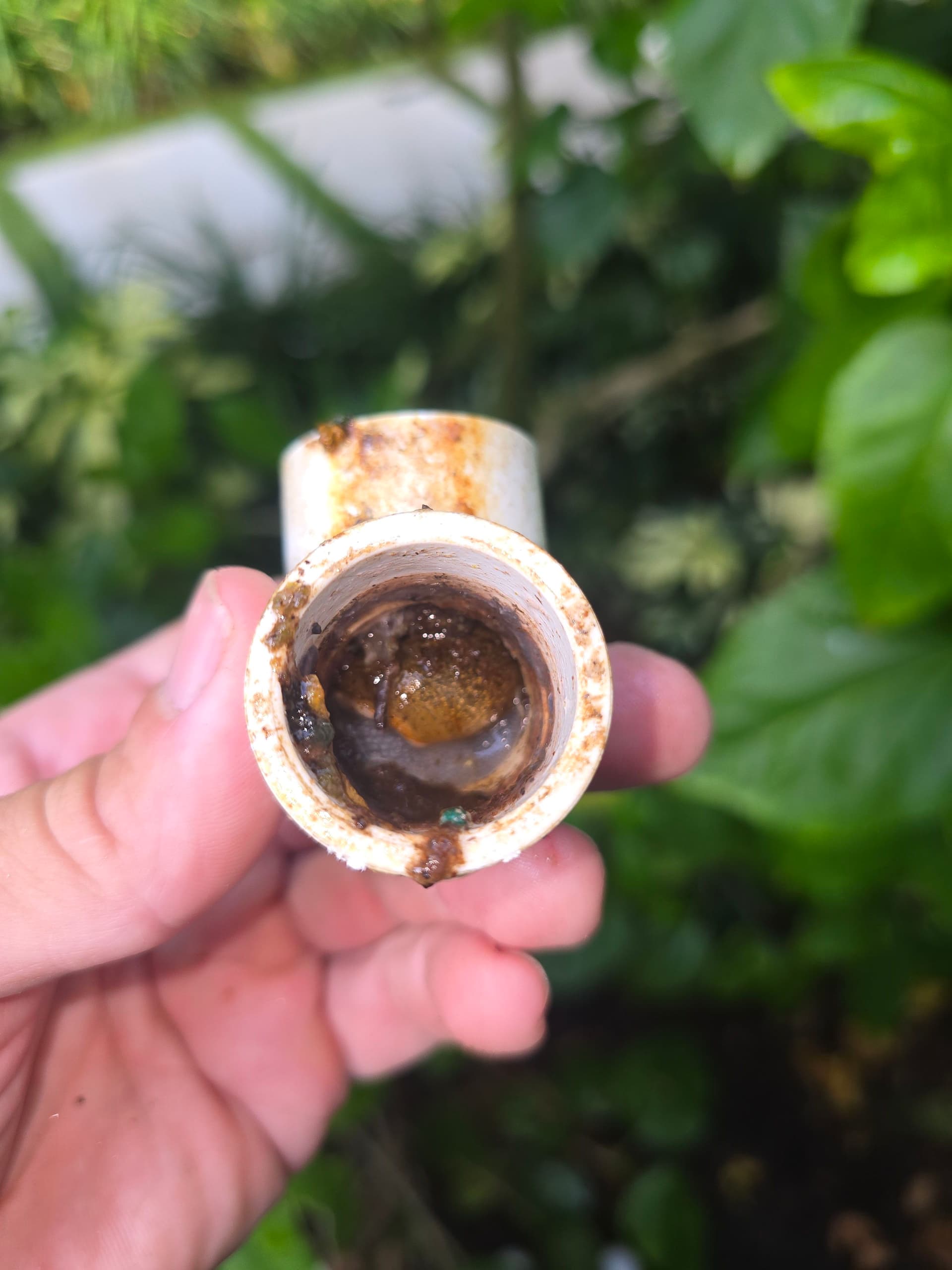 Your AC Not Cooling? A Clogged Drain Line Might Be Why image