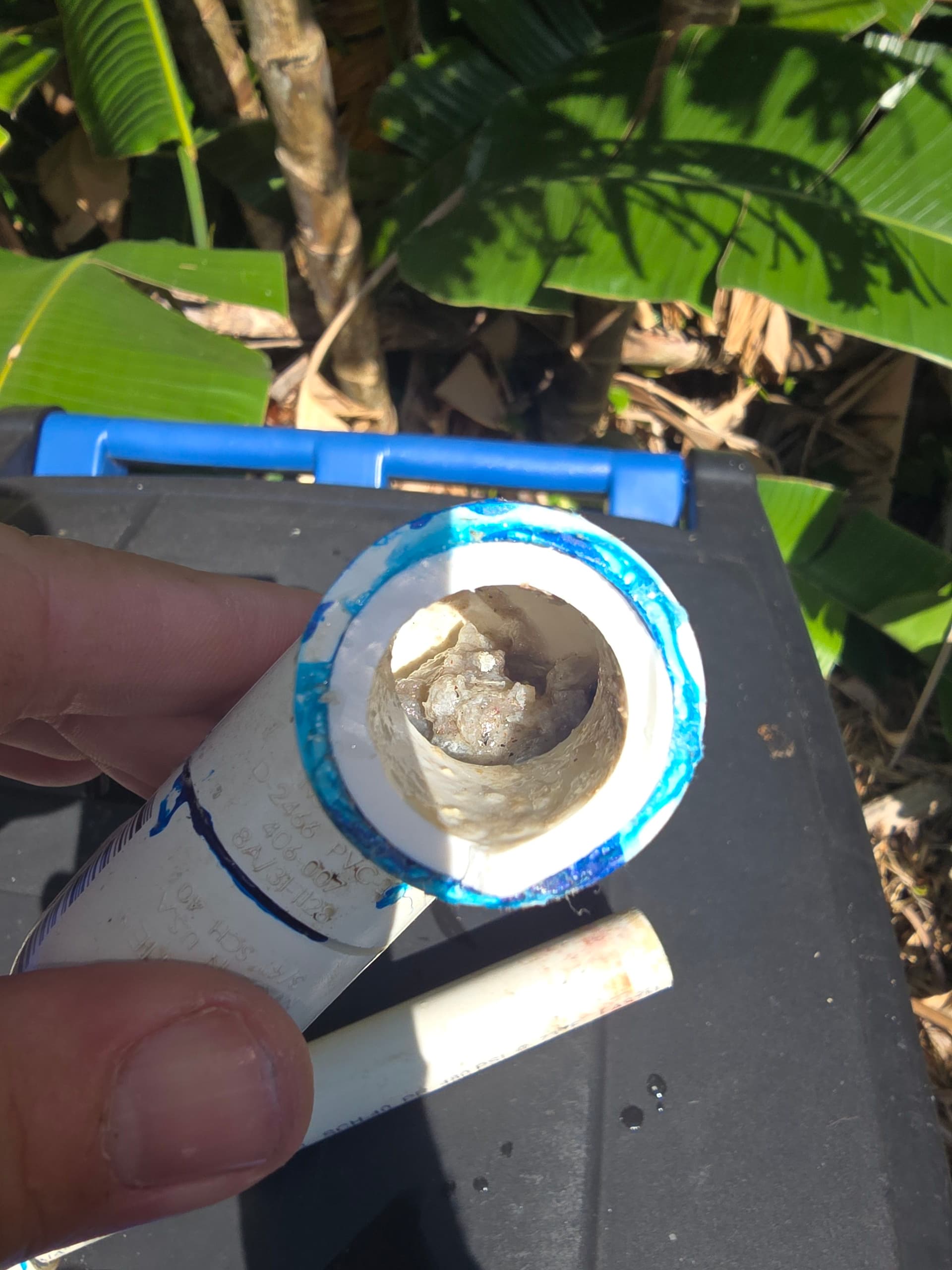 Gallery photos for Clogged AC Drain Line Replacement That Could Not Wait: Image #2