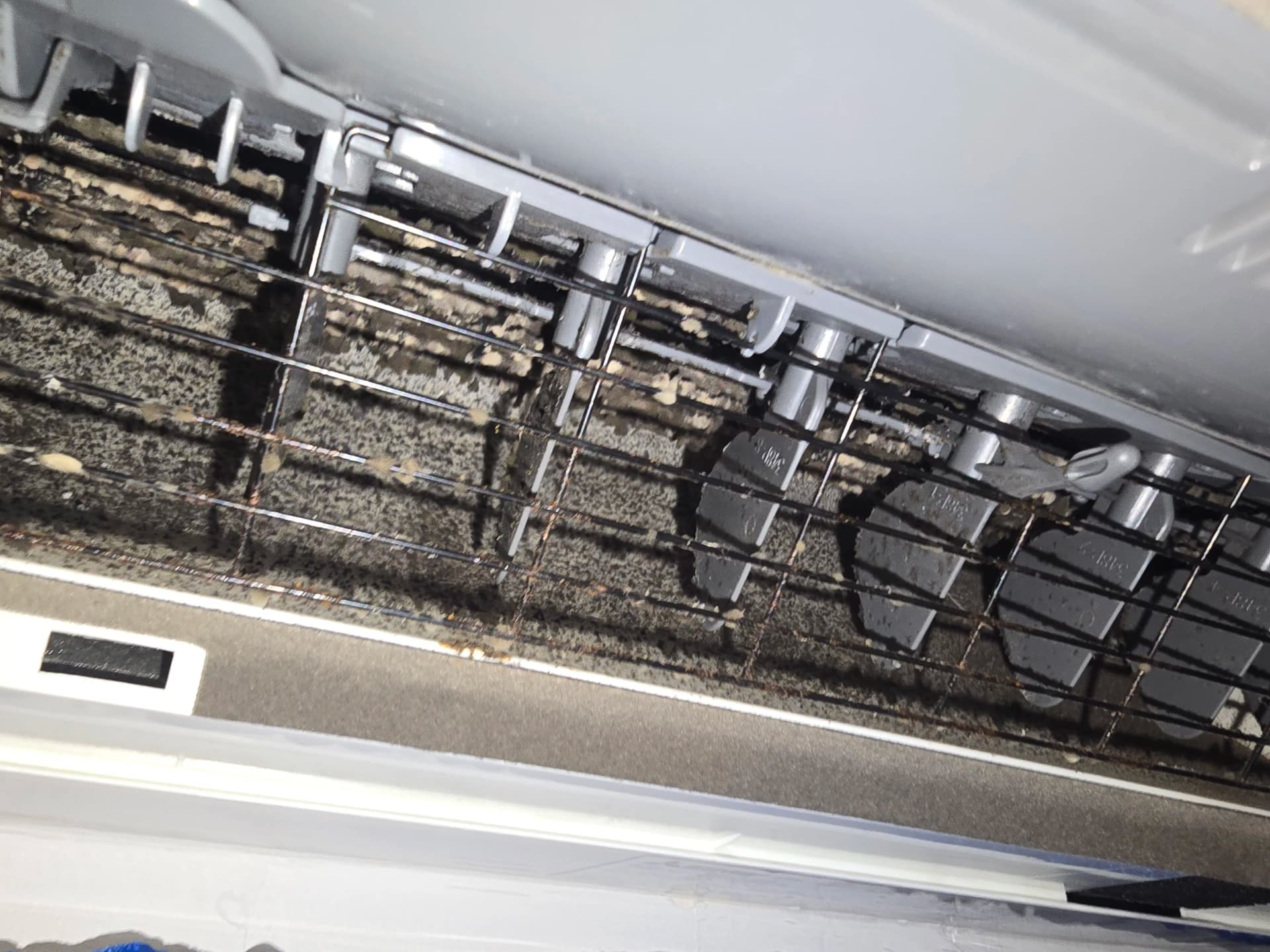 What's Really Living Inside Your Mini Split
