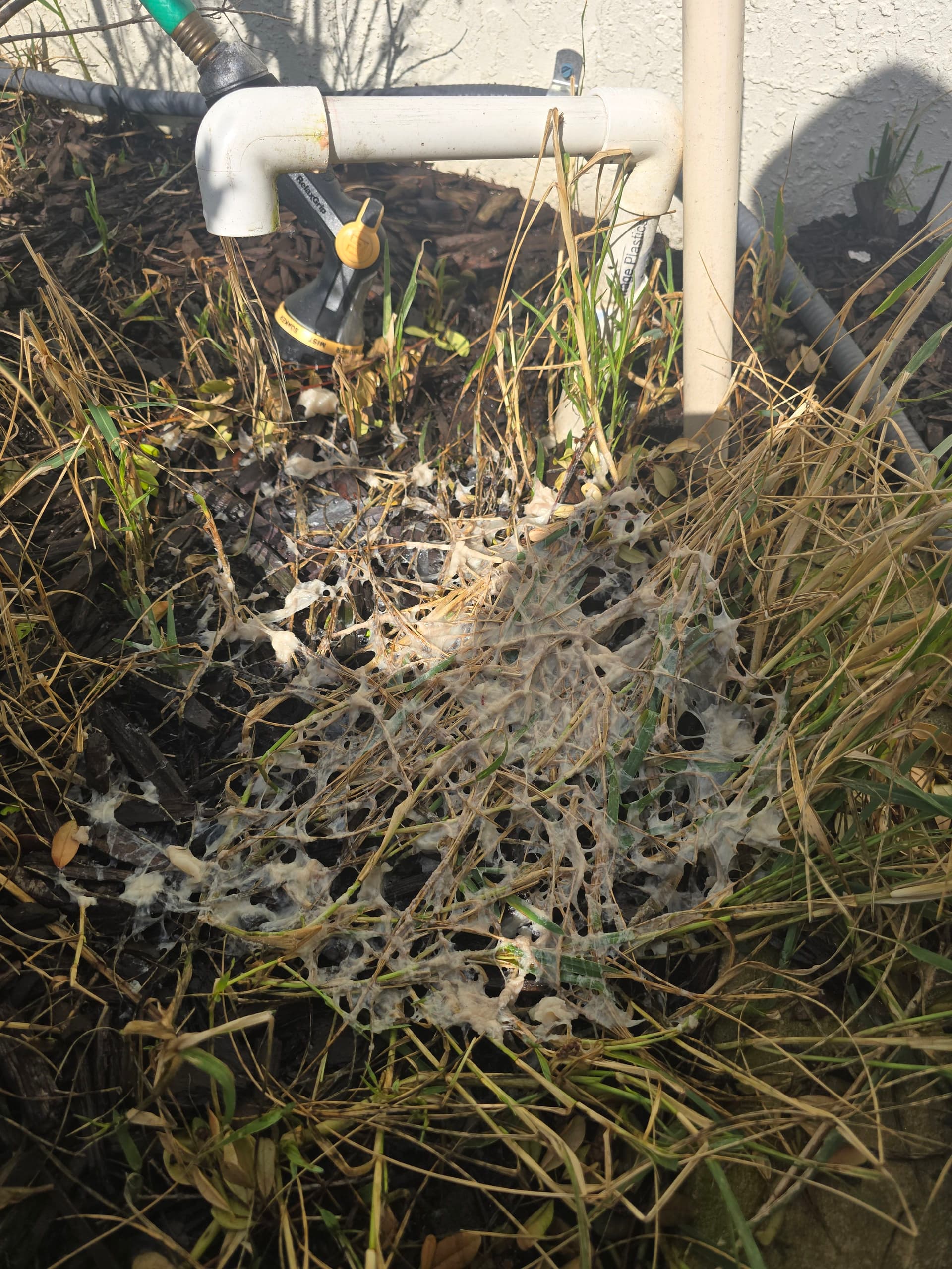 Gallery photos for A Clogged AC Drain Line Is More Trouble Than You Think: Image #1