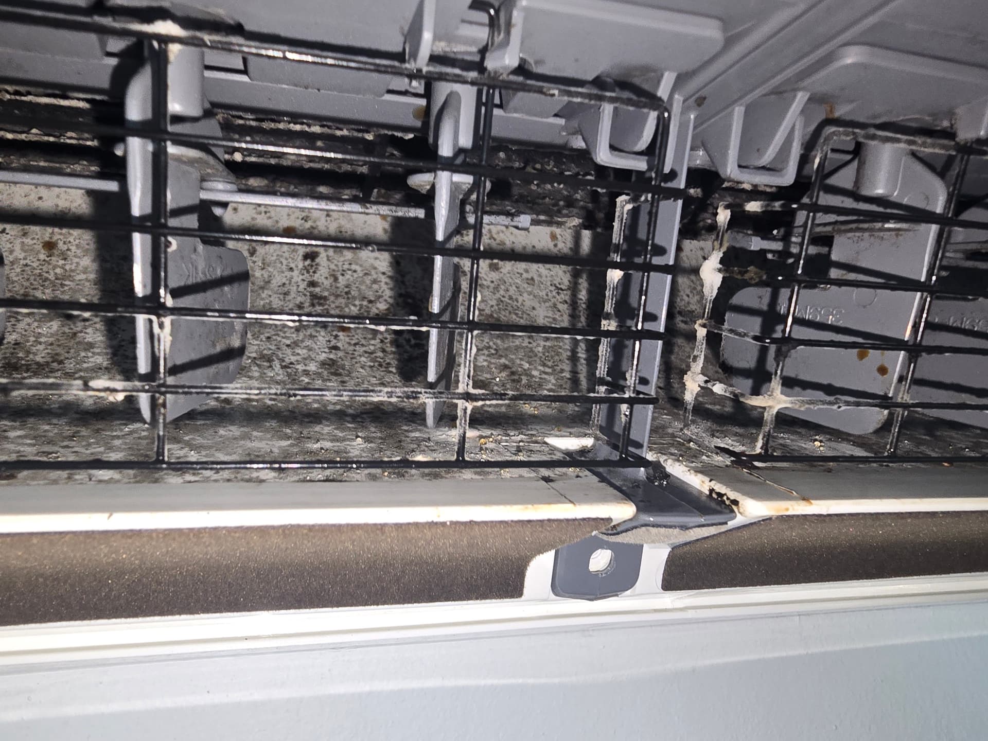 Gallery photos for Mini Split Cleaning That Actually Makes a Difference: Image #2