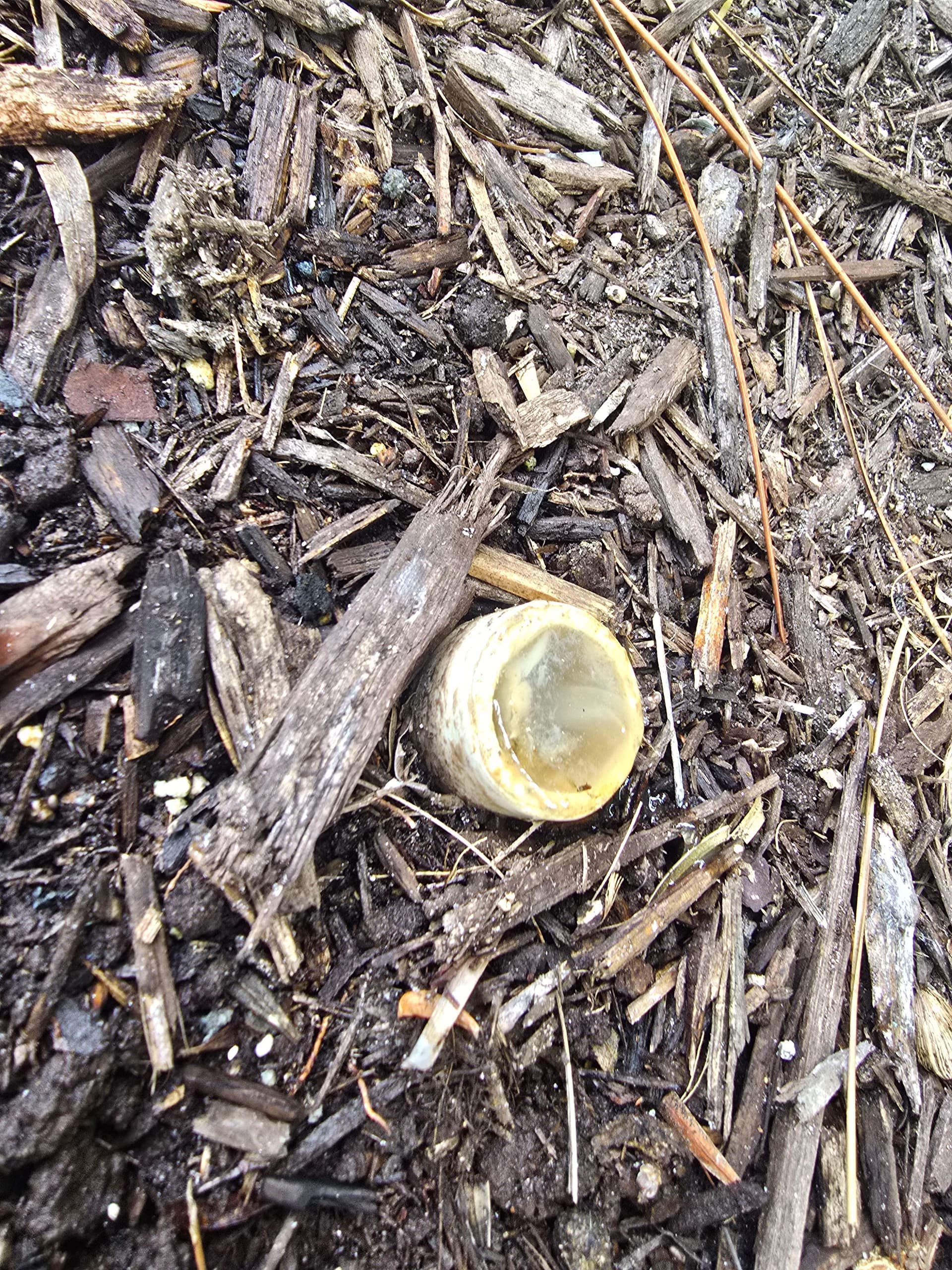 A Clogged Drain Found During Routine Maintenance - Problem Solved image