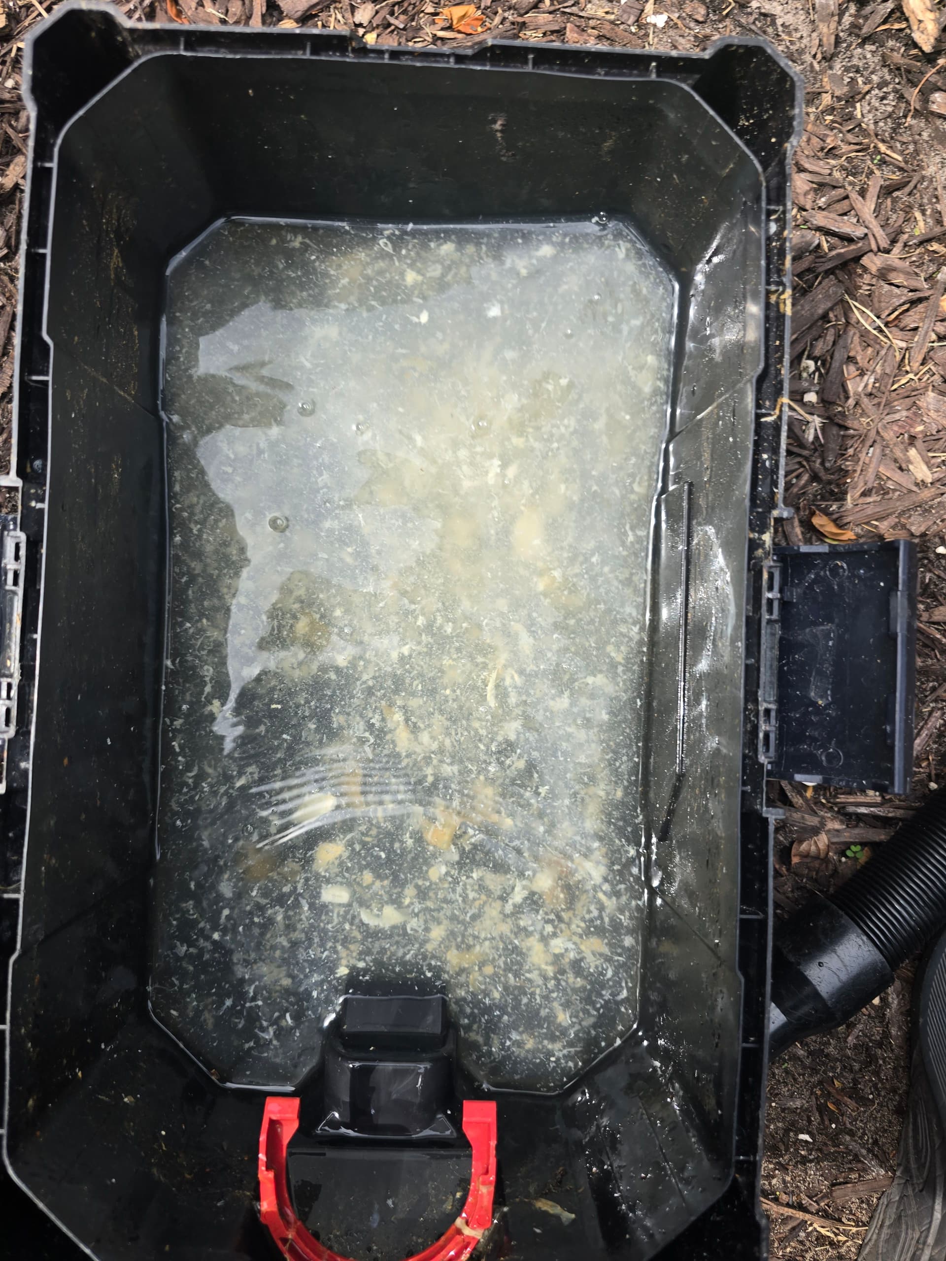 Gallery photos for Why Your AC Drain Line Deserves a Quick Look: Image #1