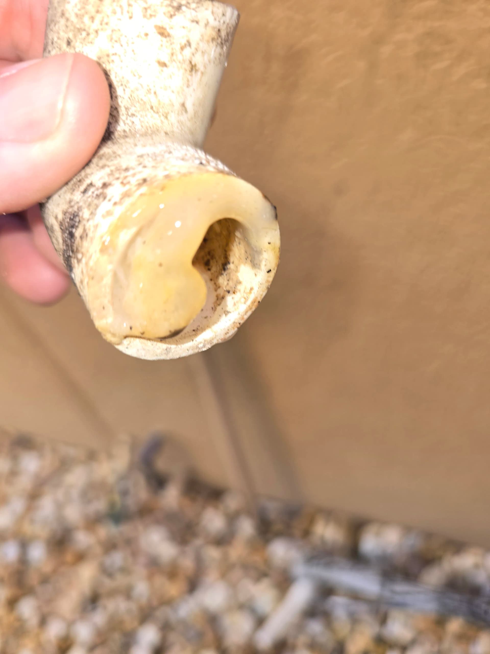 Gallery photos for Clogged AC Condensate Drain Line Cleared and Flowing Again: Image #2