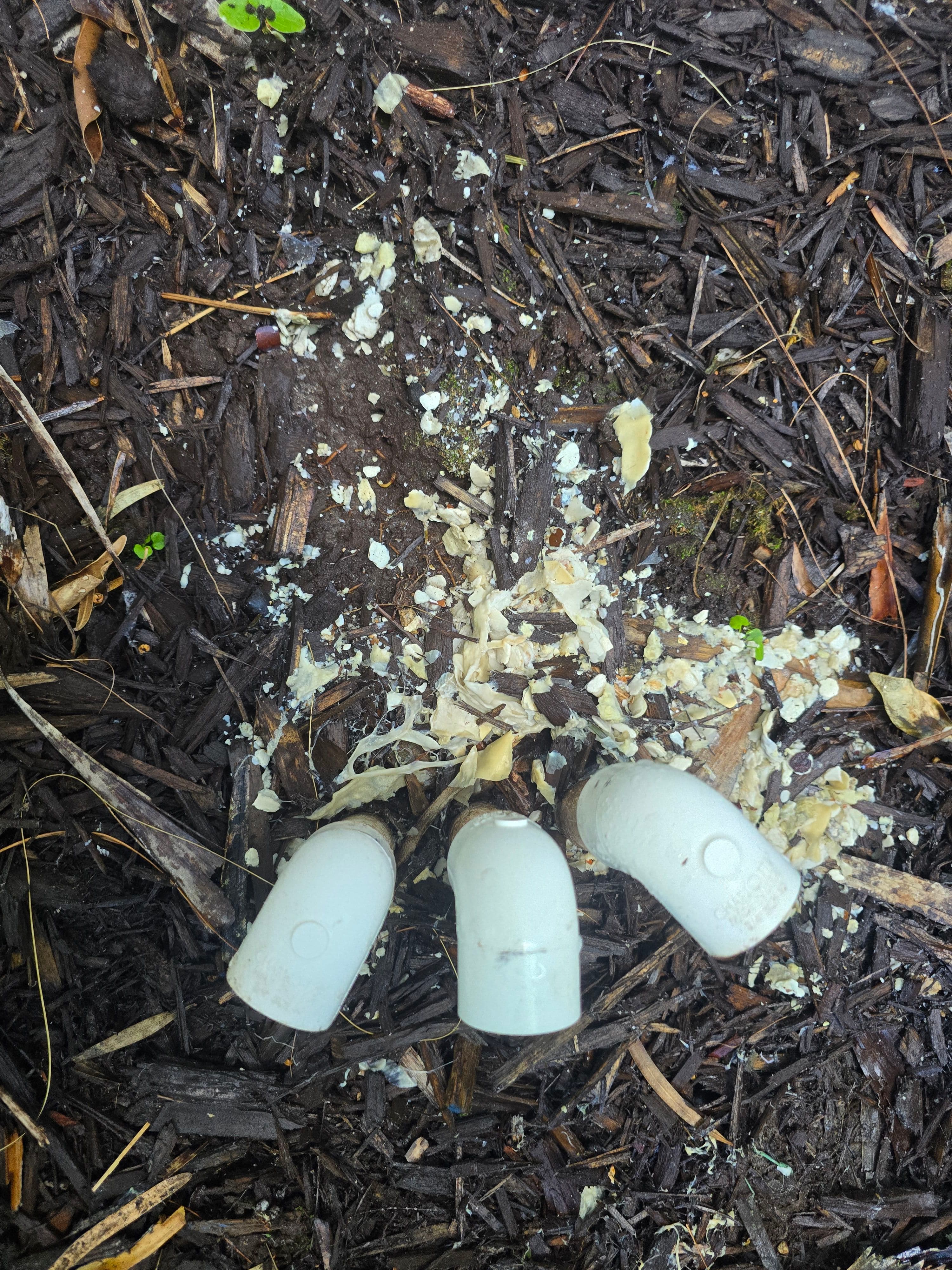 Project Essential HVAC Maintenance for Your Home image