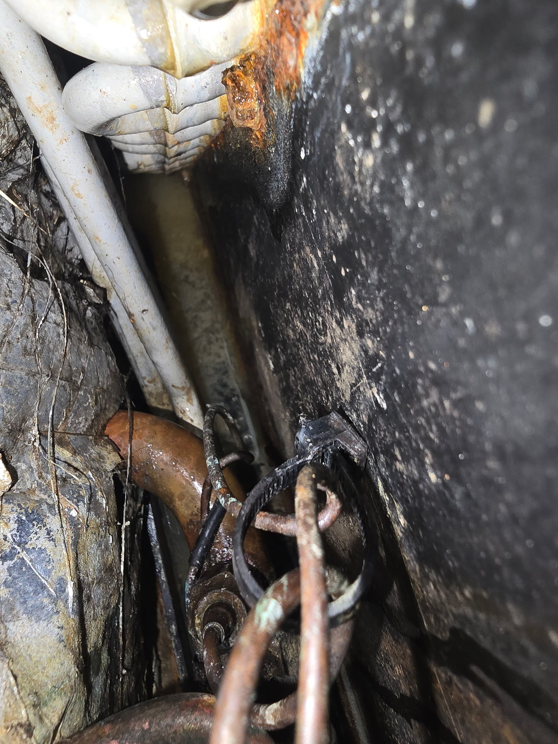 Clogged AC Drain Line Cleaned Before It Caused Water Damage image