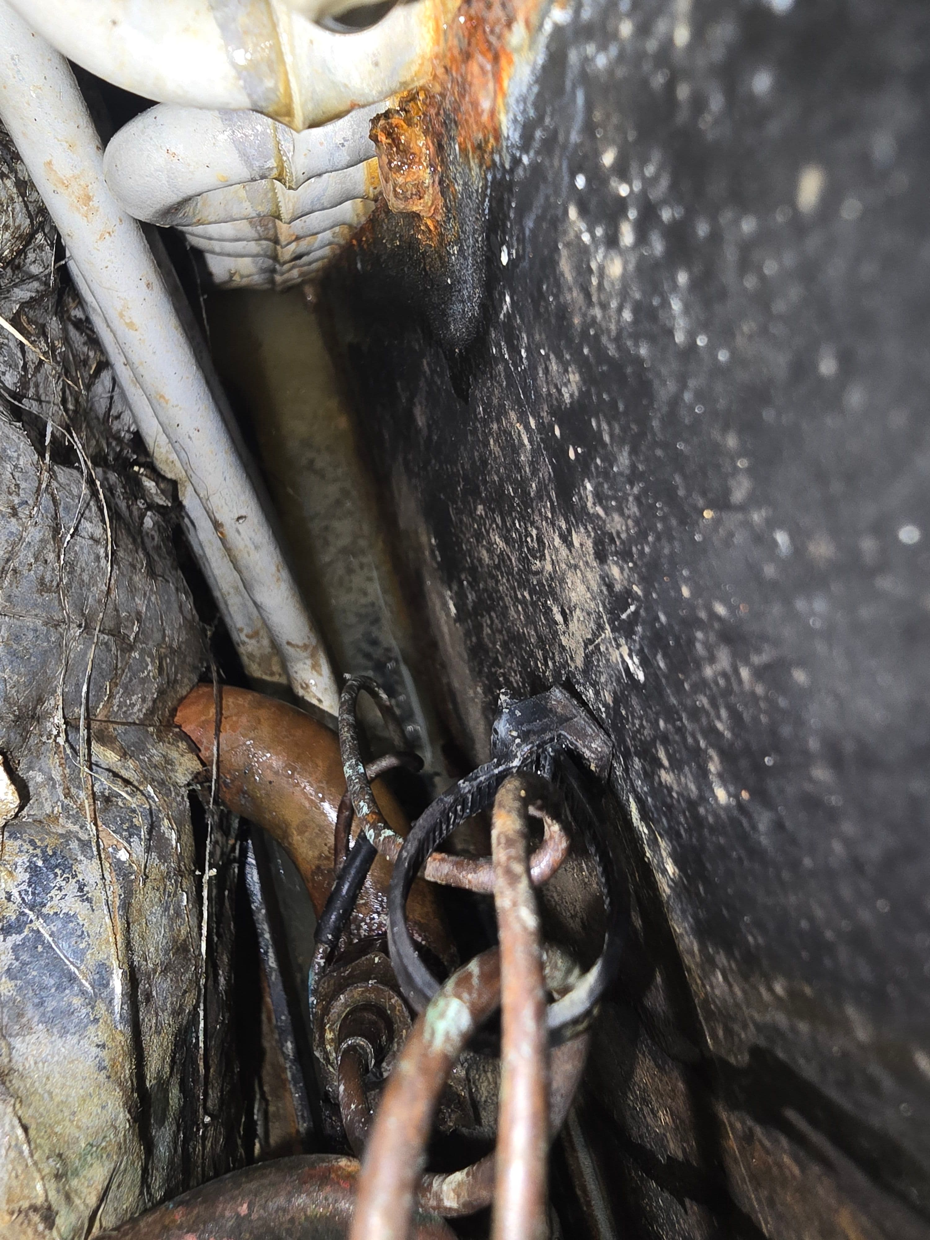 Project Clogged AC Drain Line Cleaned Before It Caused Water Damage image