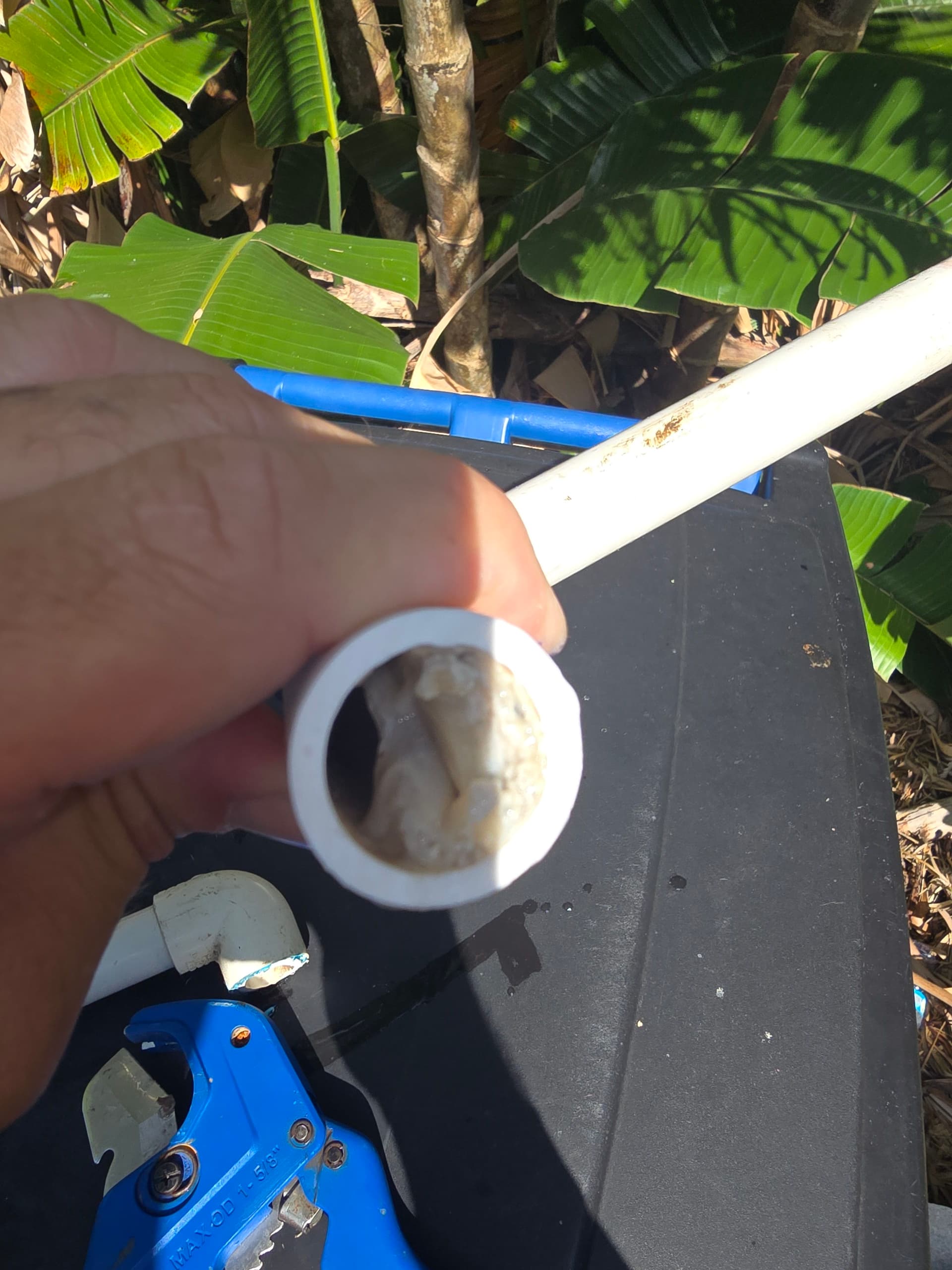 Gallery photos for Clogged AC Drain Line Replacement That Could Not Wait: Image #1