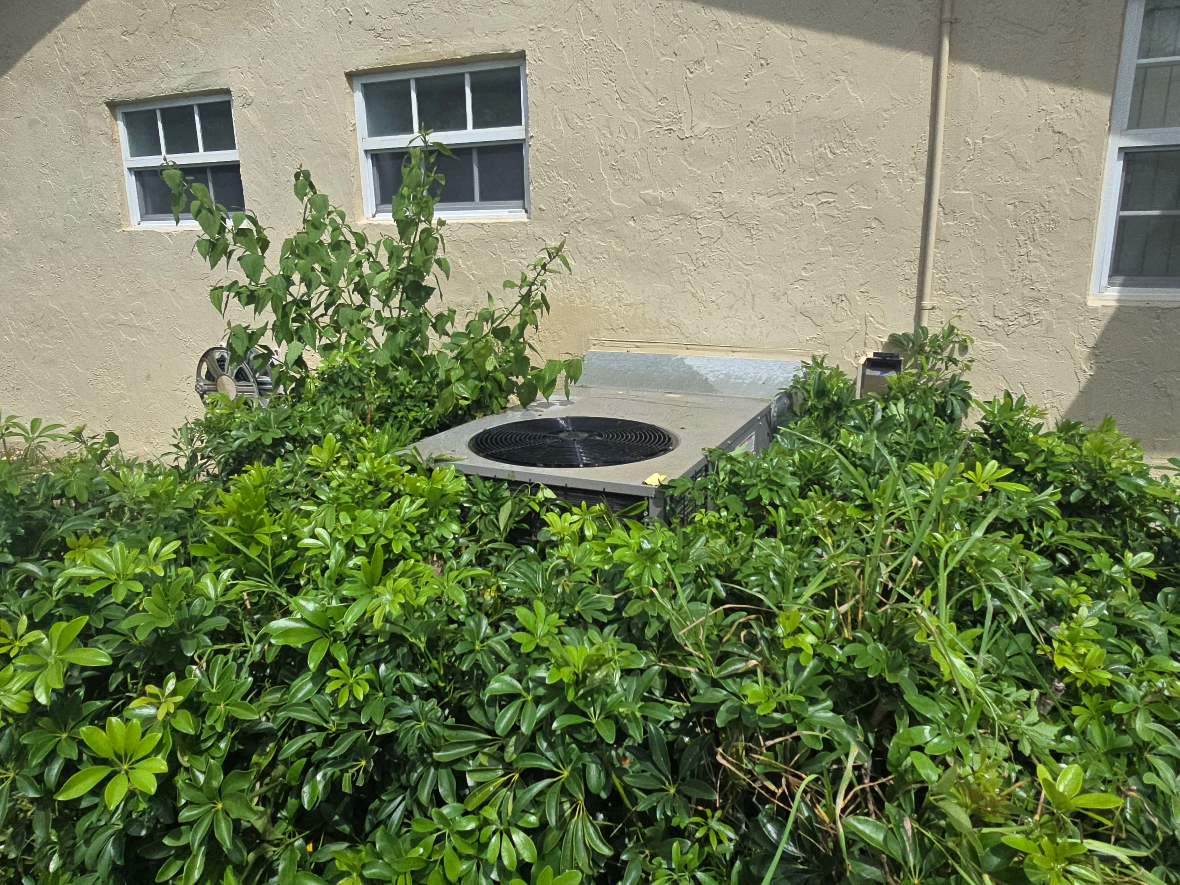 Project Your Landscaping Might Be Killing Your AC image