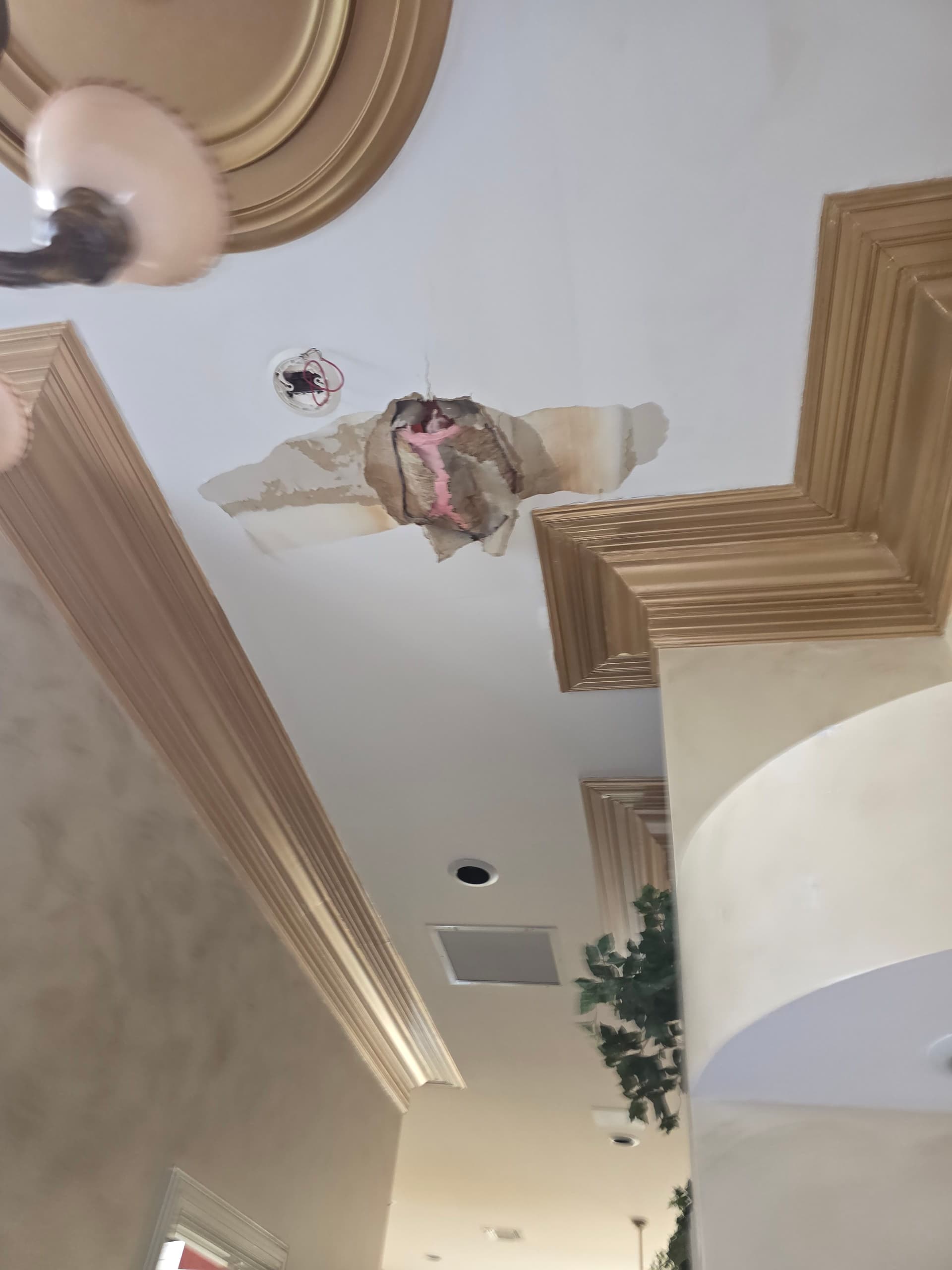 A Clogged Drain Line Did This to a Ceiling image