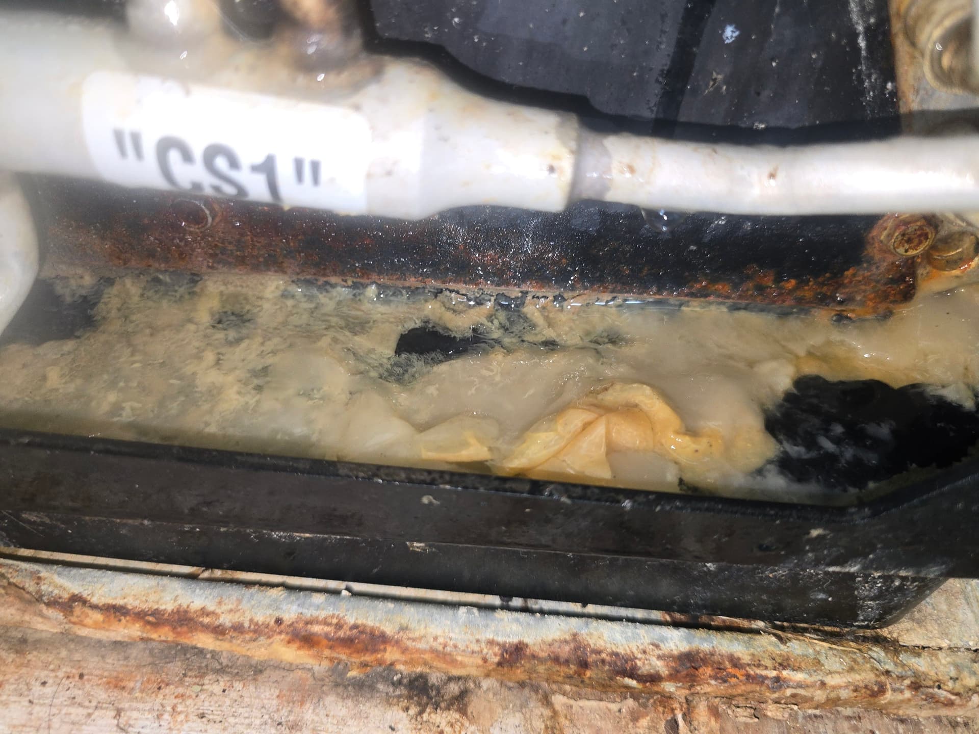 Gallery photos for Clogged AC Drain Line Cleaned Before It Caused Water Damage: Image #1