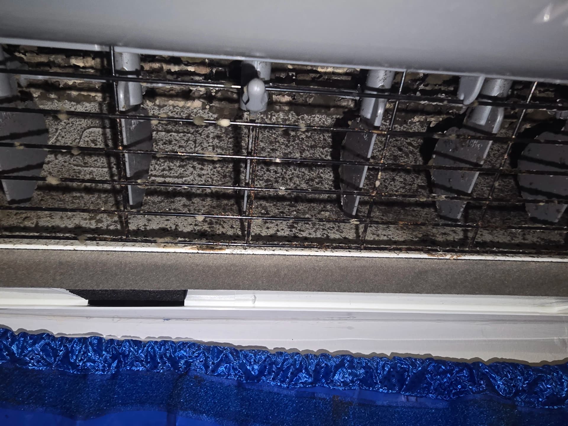 Gallery photos for What's Really Living Inside Your Mini Split: Image #1