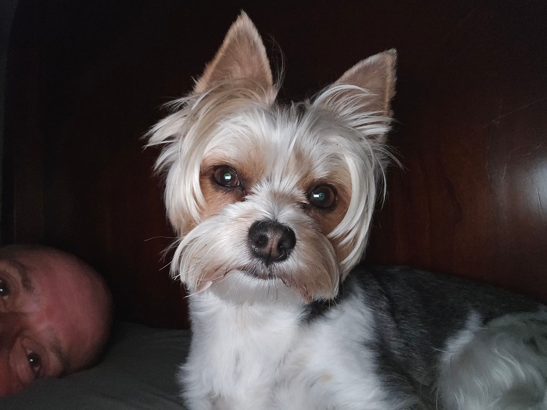 Keep Your Cool in Florida - Proactive AC Maintenance with Air Benders image